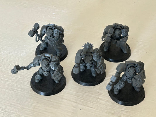 Space Marine Terminator Assault Squad With Thunder Hammer And Storm Shields