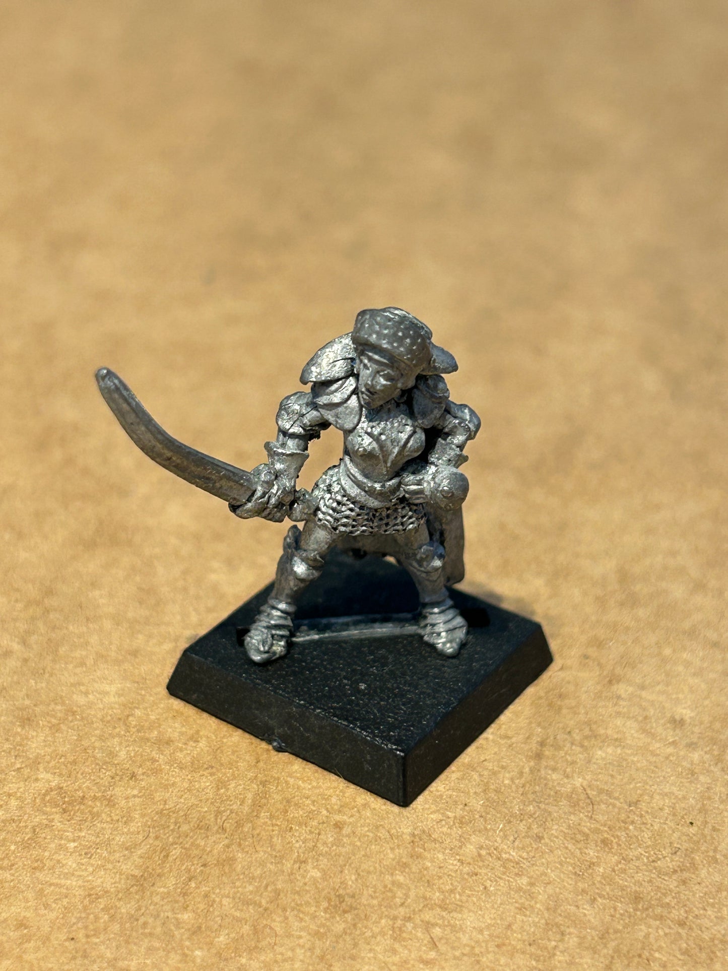 Warhammer fantasy F5 paladins Lady Zoneleigh bretonnian