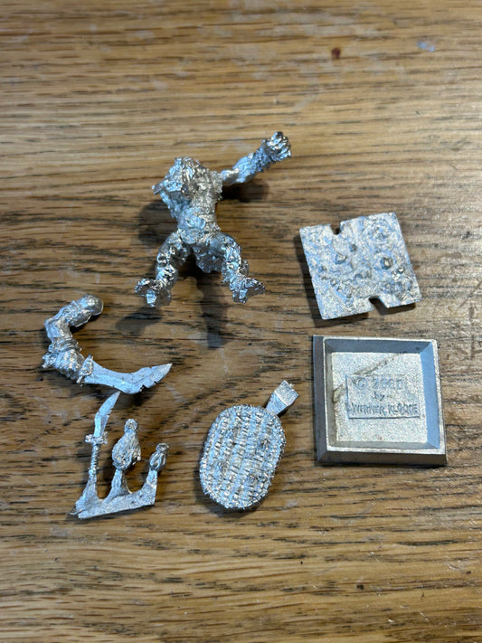Freebooters Fate orc warrior (I think) Werner Klocke sculpt