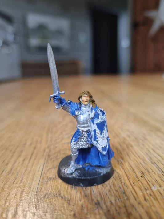 Lord Of The Rings, LOTR - Prince Imrahil on foot