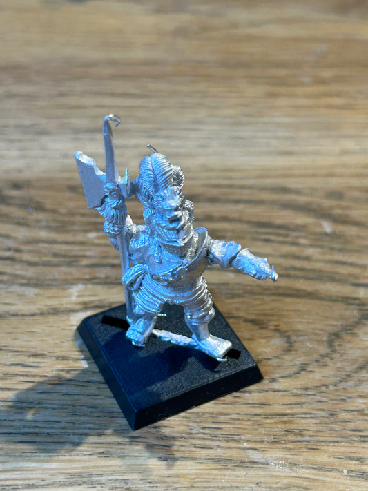 Warhammer Fantasy Old World Empire Hero Captain with halberd