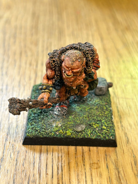 Ogre marauder C23 Warhammer fantasy ogre Kingdoms old world