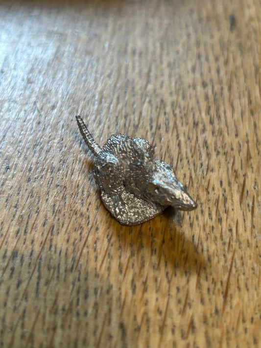 Warhammer fantasy skaven giant rat (9 available)