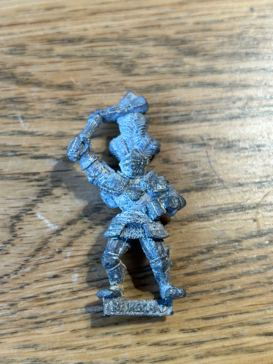 Warhammer Fantasy Old World reiksguard