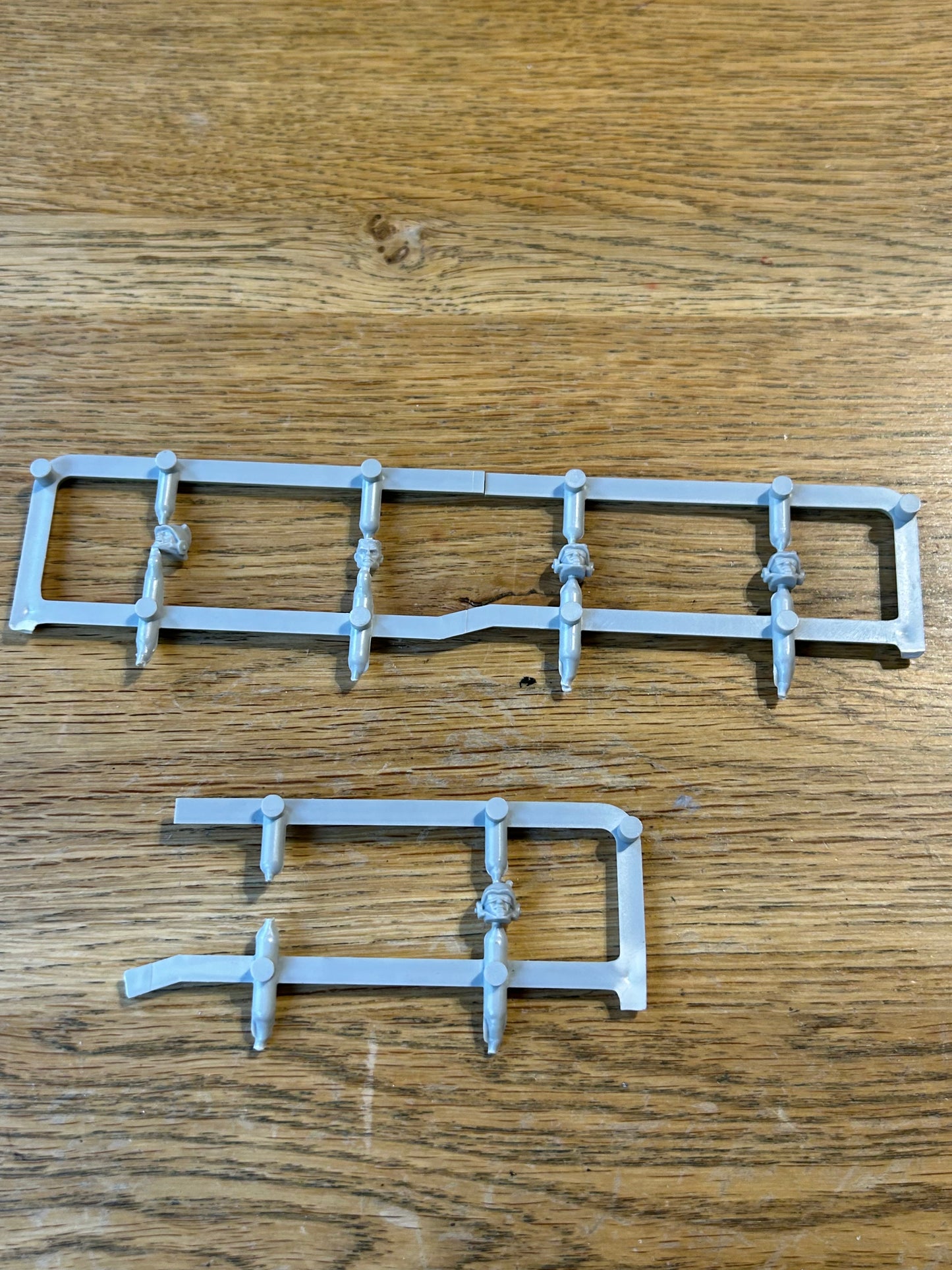 Warhammer 40k rogue trader imperial guard heads x5