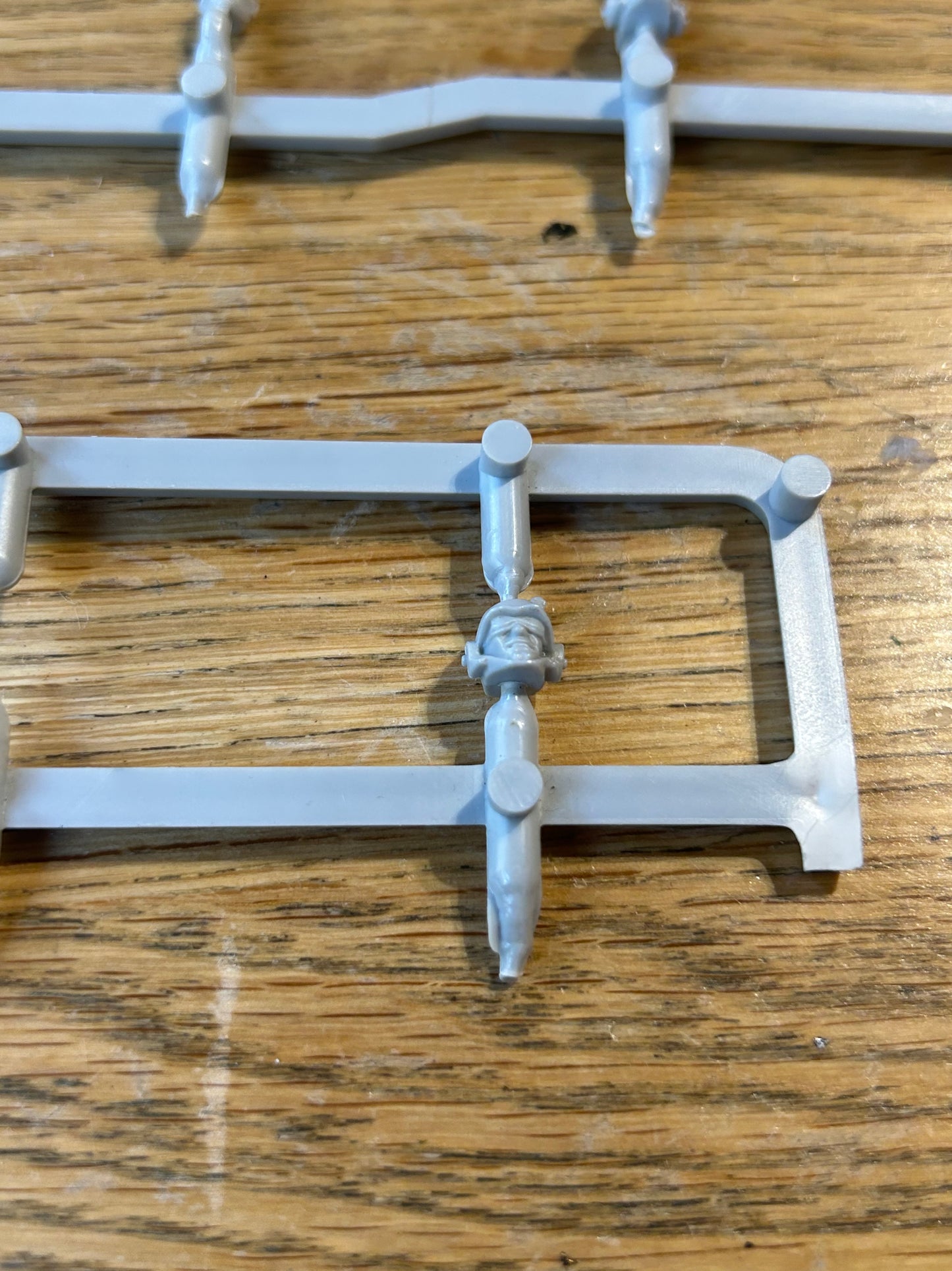 Warhammer 40k rogue trader imperial guard heads x5
