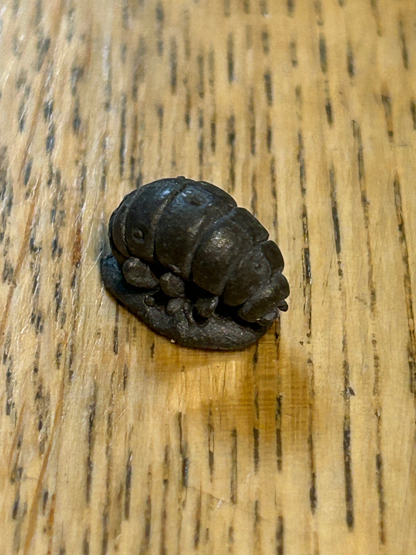 Warhammer Fantasy - C29 Creepy Crawlies, tick[Metal] Vintage 1980s