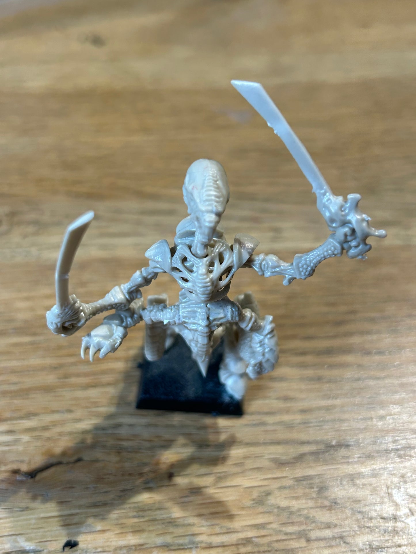 Rogue trader warhammer 40k Tyranid