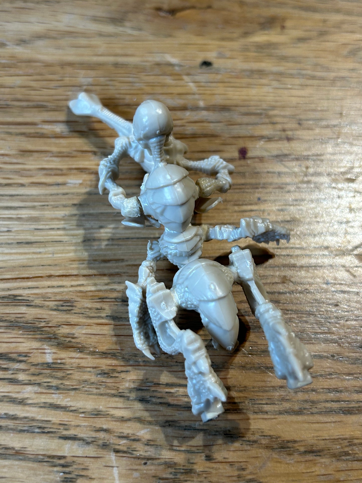 Rogue trader warhammer 40k Tyranid