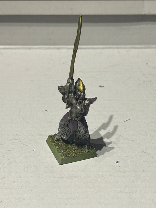 Warhammer fantasy dark elf executioner