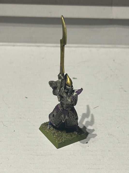 Warhammer fantasy dark elf executioner