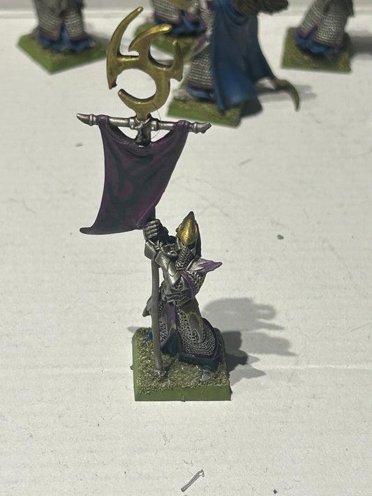 Warhammer Fantasy Dark Elf Executioner Standard Bearer The Old World Metal