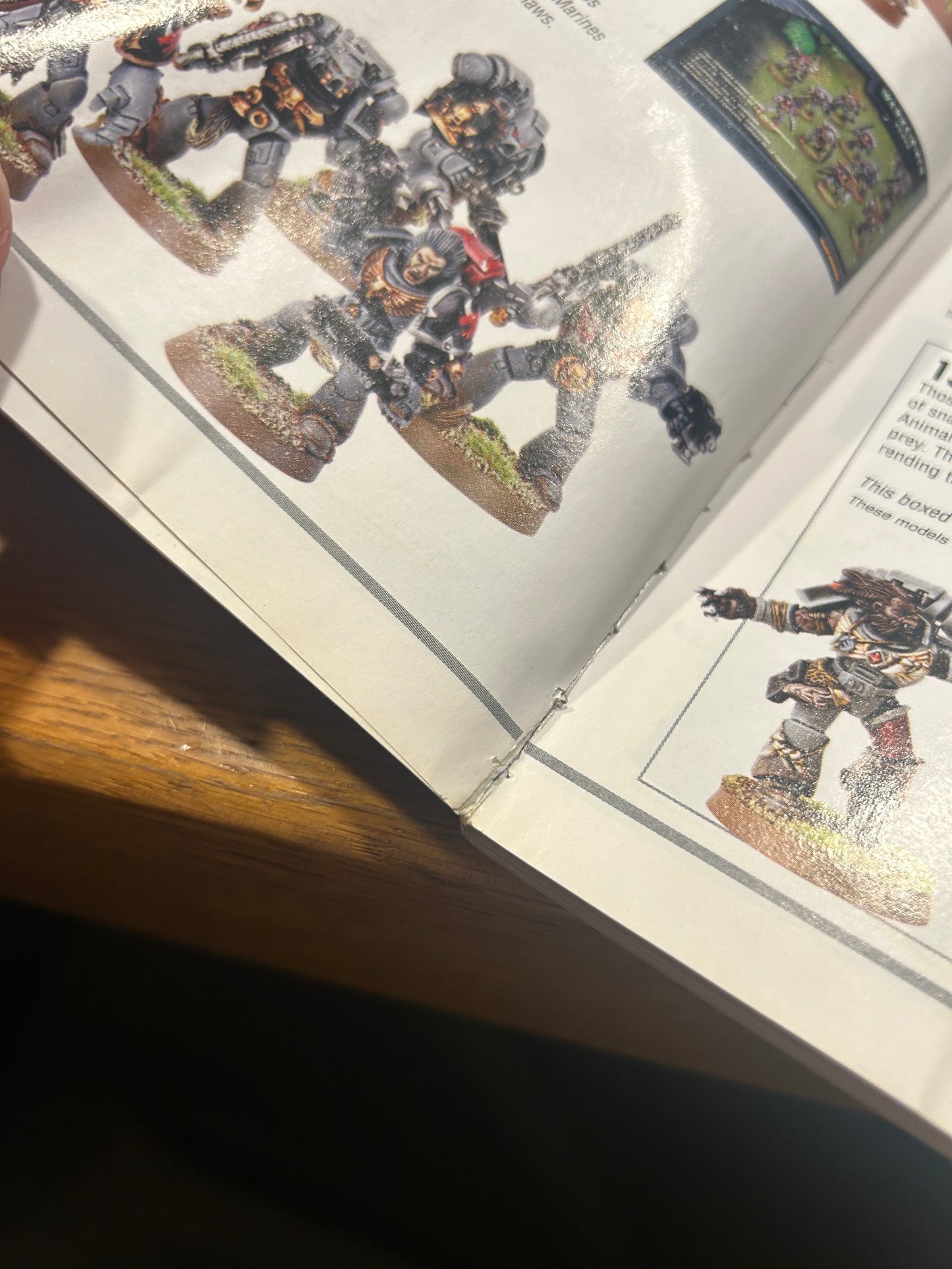 White dwarf issue 283