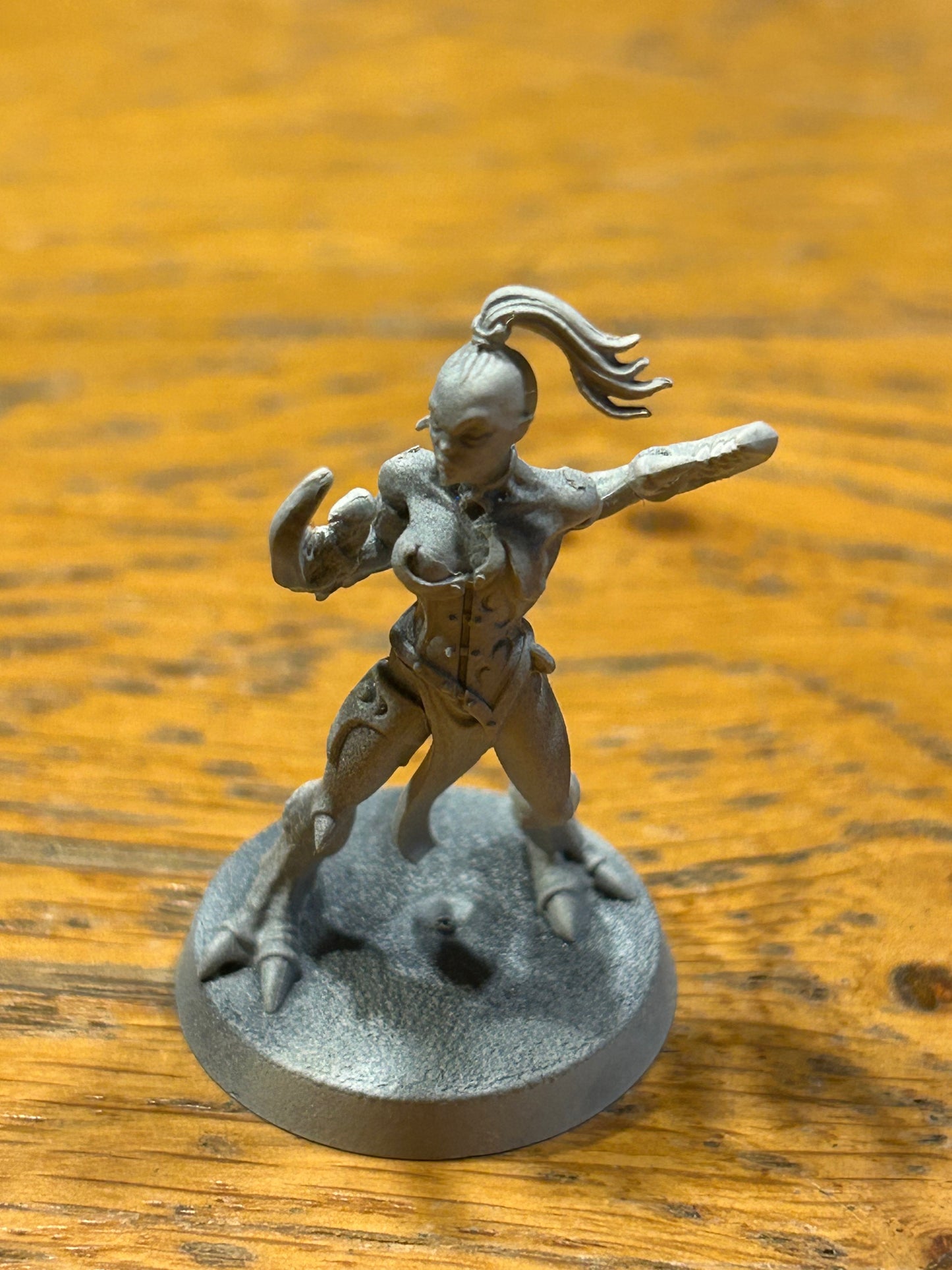 Warhammer fantasy daemons of chaos marauder daemonette of slaanesh plastic