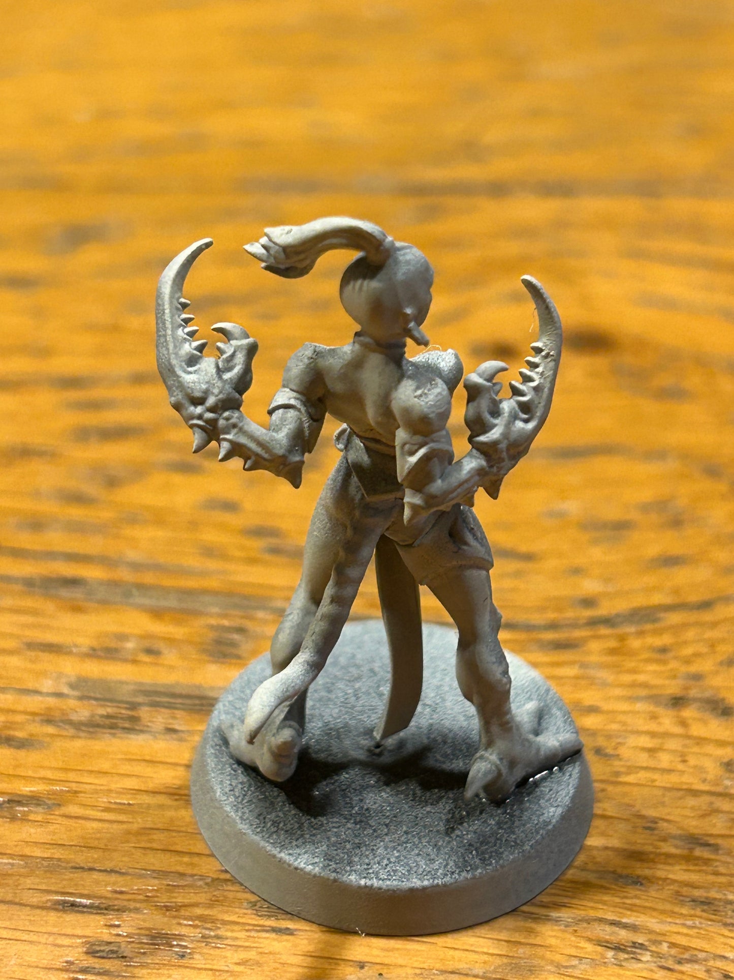 Warhammer fantasy daemons of chaos marauder daemonette of slaanesh plastic
