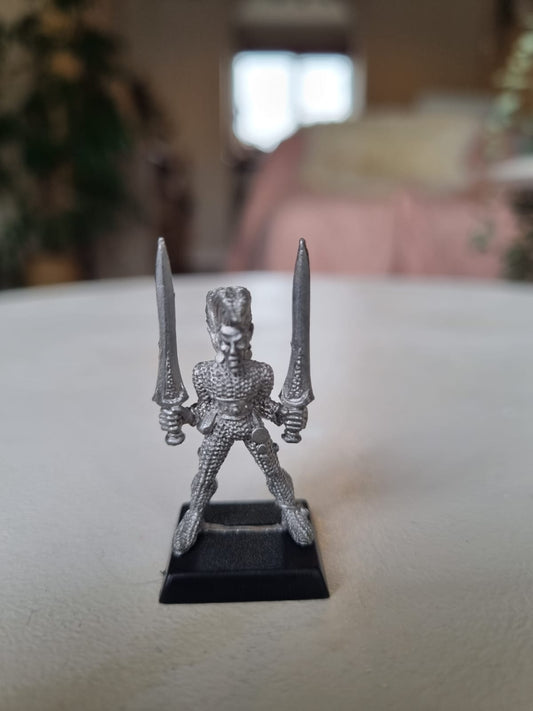 Warhammer Fantasy old world wood elf  wardancer with two swords Gartan